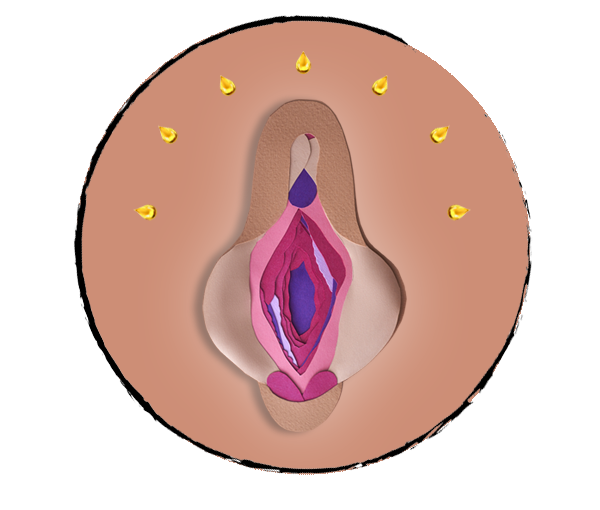 Mycose Vaginale : les Huiles Essentielles à utiliser - Olyaris